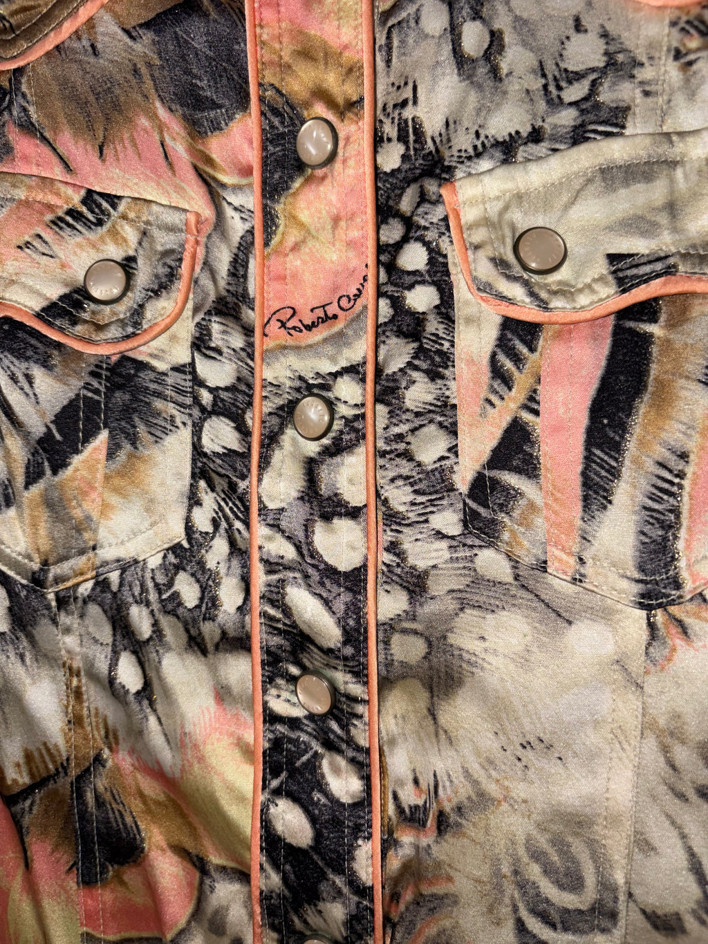 Roberto Cavalli Spring/Summer 2004 Silk Shirt Dress 2000s Feathers Print