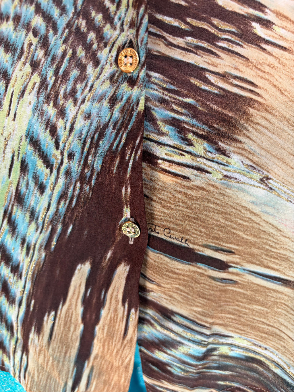 Roberto Cavalli 2003/2004 Feather Print Blouse 2000s