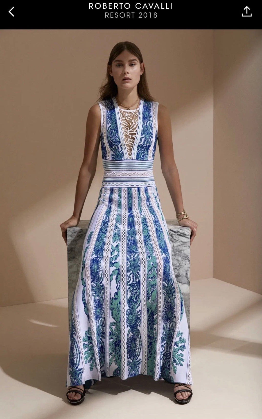 Roberto Cavalli Maxi Dress Blue White Knitted Coral Embroidery 42IT Resort 2018
