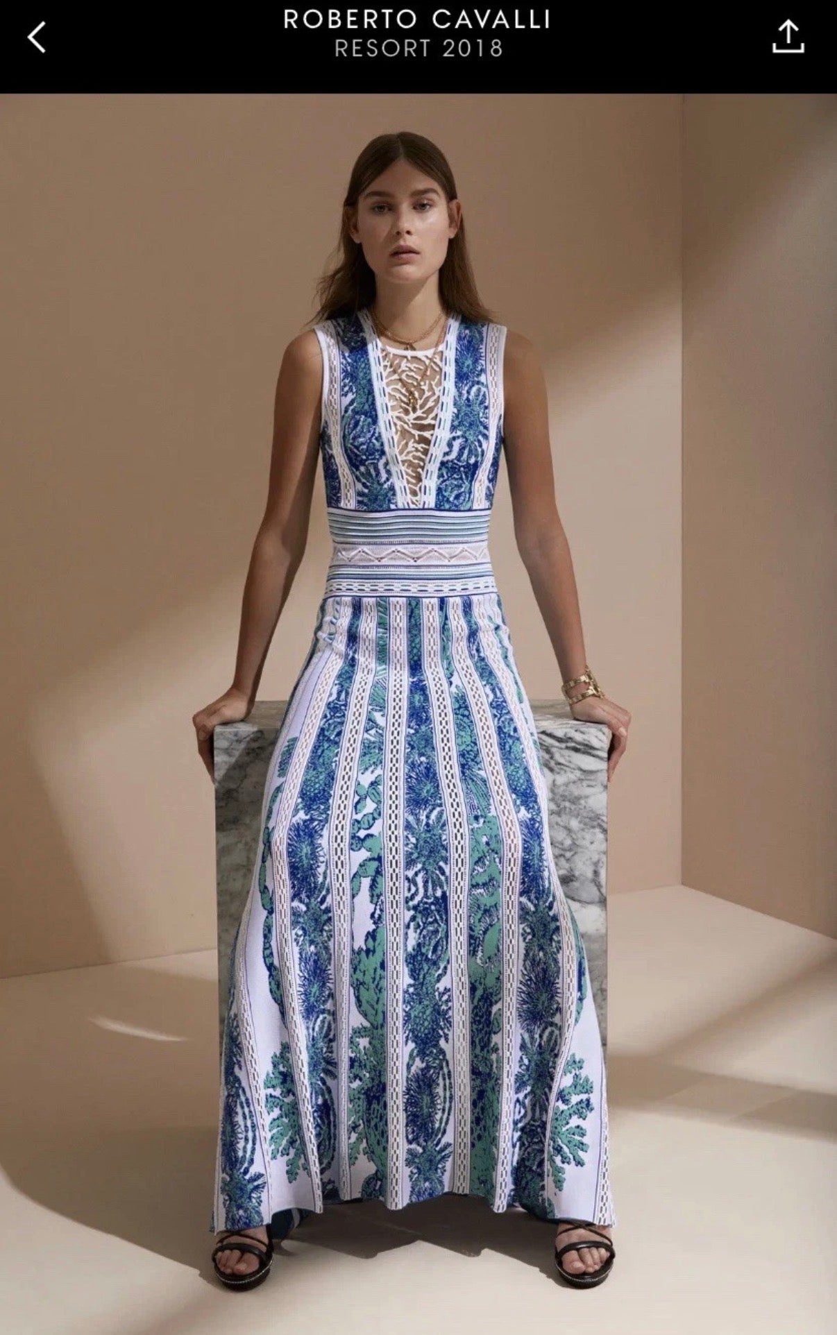 Roberto Cavalli Maxi Dress Blue White Knitted Coral Embroidery 42IT Resort 2018