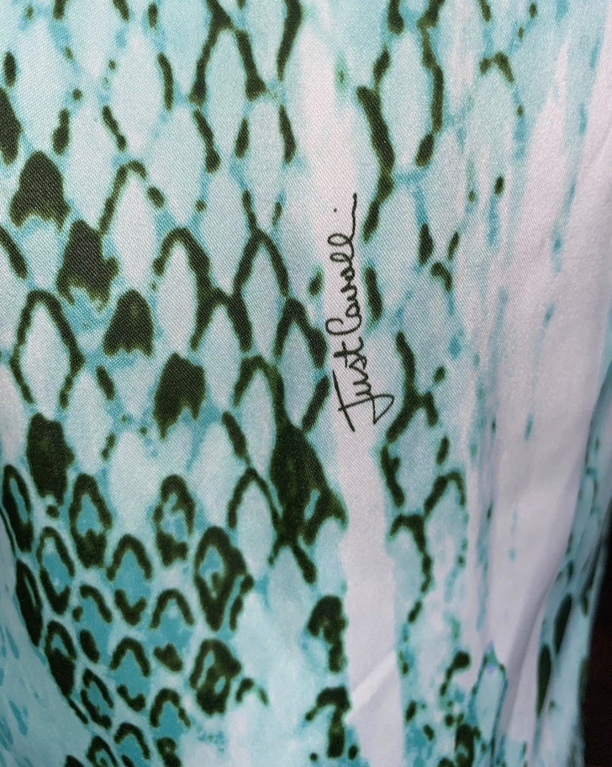 Just Cavalli Green Snakeskin Print Knee Length Dress 42IT